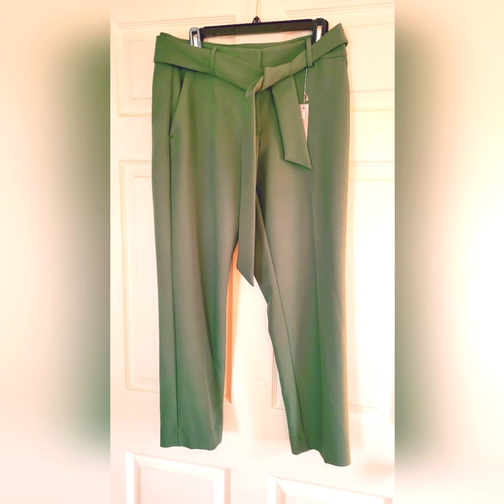 Ann Taylor Spring Green pant